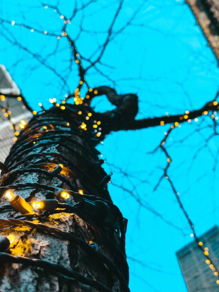 Tree with lights